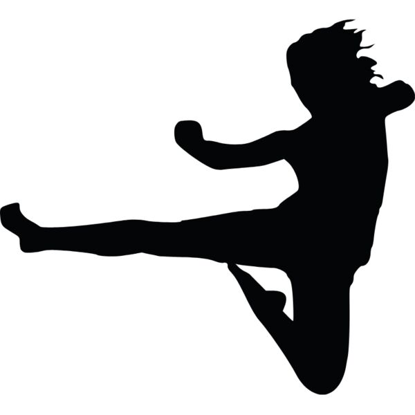 karate kick Thumbnail