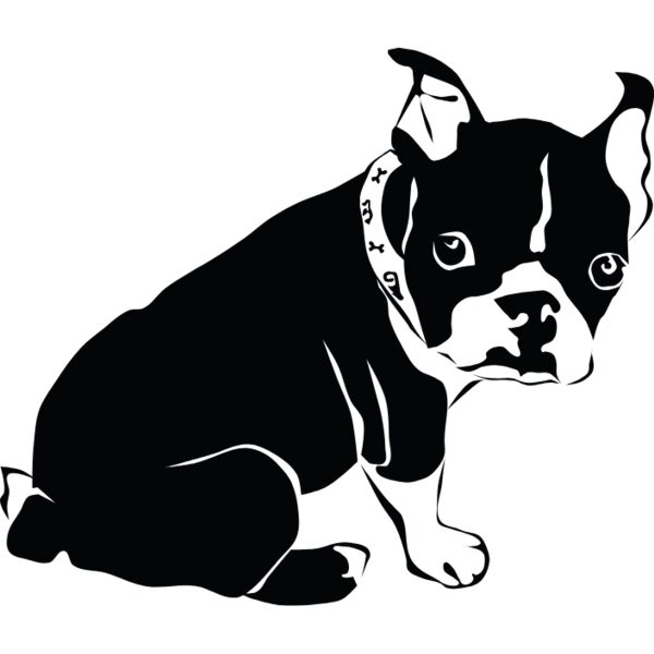 ranskanbuldoggi 2 Thumbnail