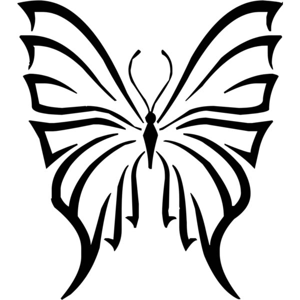 butterfly1  6  Thumbnail