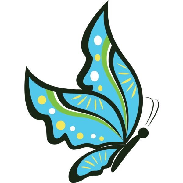 butterfly1  12  Thumbnail