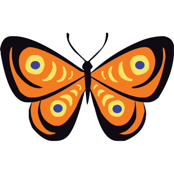 butterfly1  5  Thumbnail