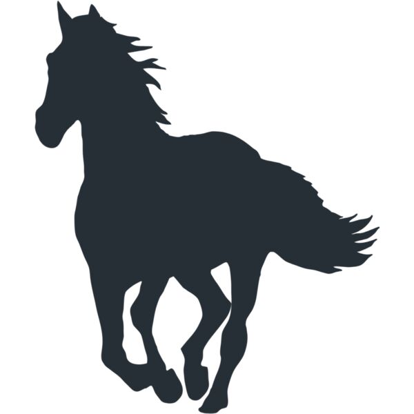 horses  11  Thumbnail