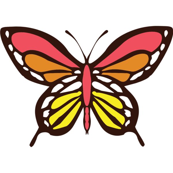 butterfly1  11  Thumbnail