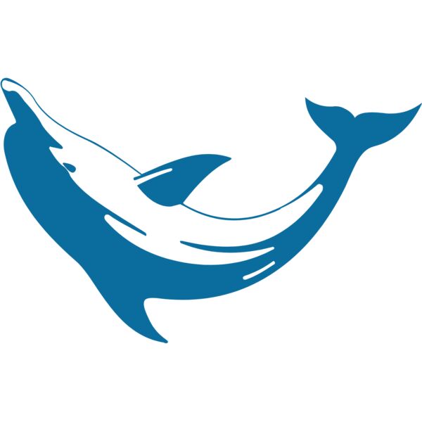 dolphins13 Thumbnail