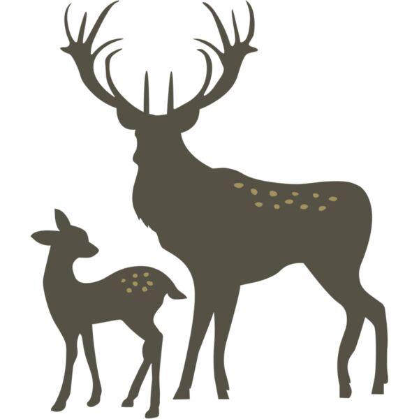deer  16  Thumbnail