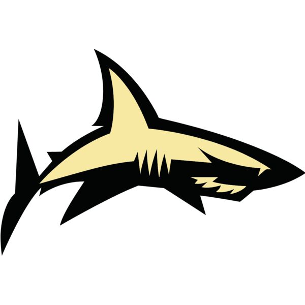 shark  13  Thumbnail