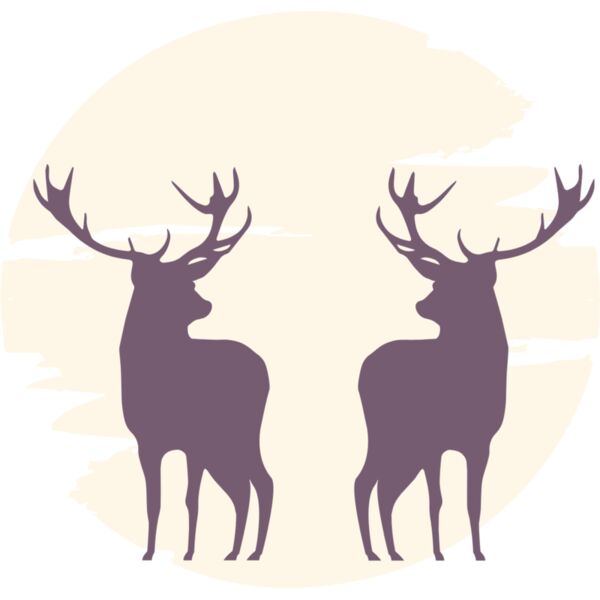 deer  12  Thumbnail