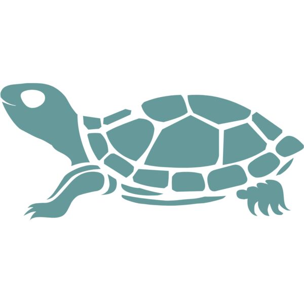 turtles  10  Thumbnail