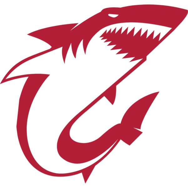 shark  12  Thumbnail