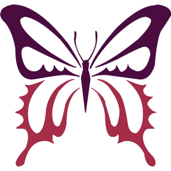 butterfly1  3  Thumbnail