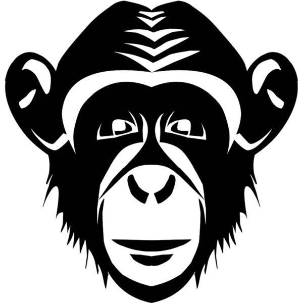 monkeys  5  Thumbnail