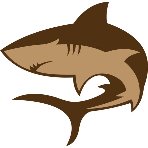 shark  10  Thumbnail