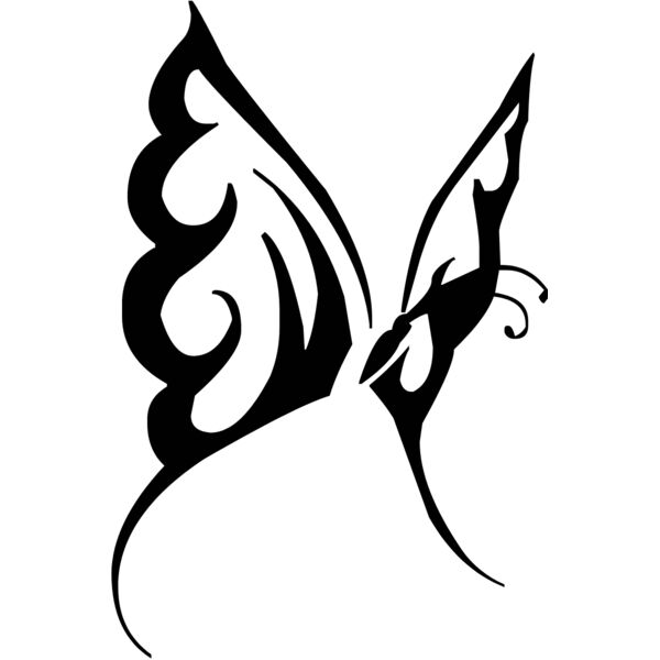 butterfly1  8  Thumbnail