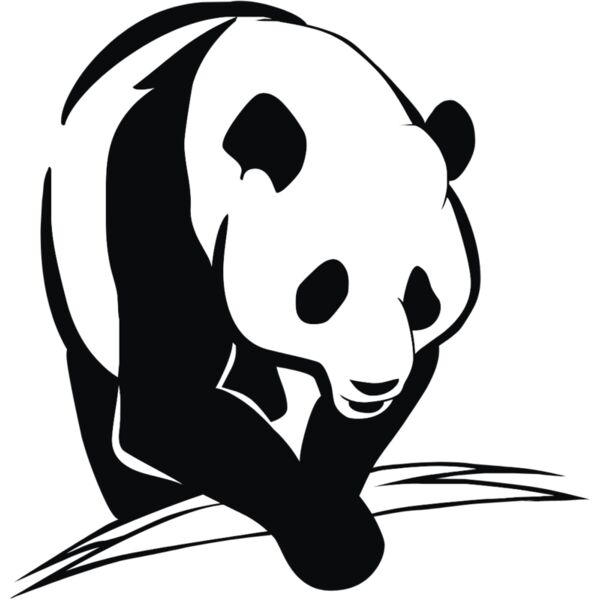 pandas  8  Thumbnail