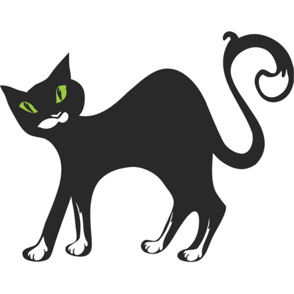 cats 1  4  Thumbnail