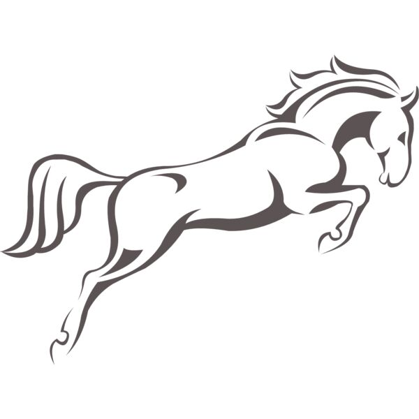 horses  2  Thumbnail