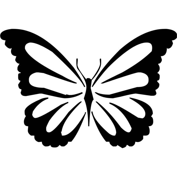 butterfly1  1  Thumbnail