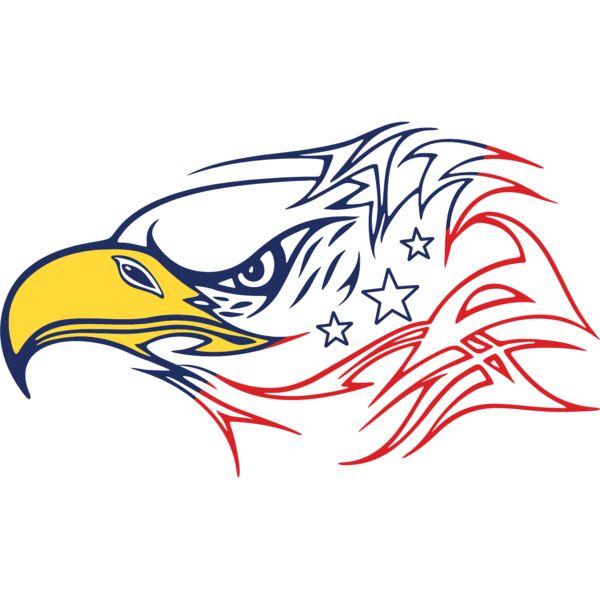 american eag d6 Thumbnail