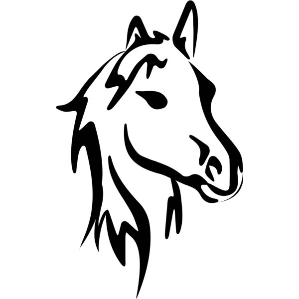 horses  18  Thumbnail