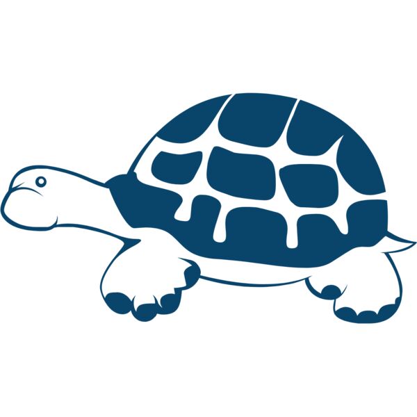 turtles  8  Thumbnail