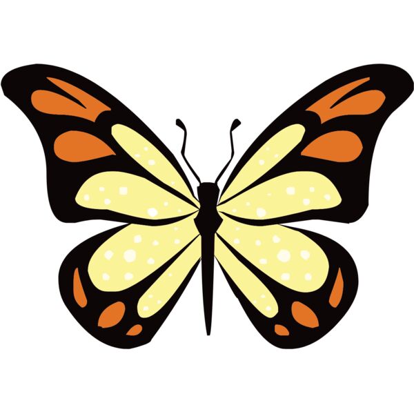 butterfly1  7  Thumbnail