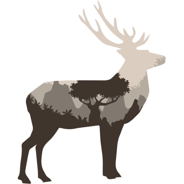 deer  9  Thumbnail