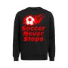 UM Crewneck Regular Fit Thumbnail